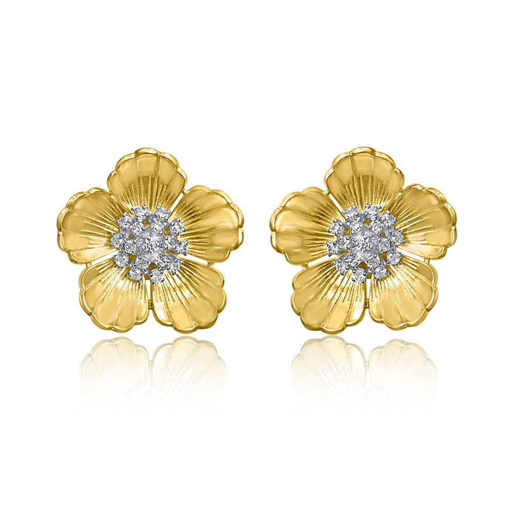 Senco Gold 22k (916) Yellow Gold Stud Earrings for Women : Amazon.in:  Fashion